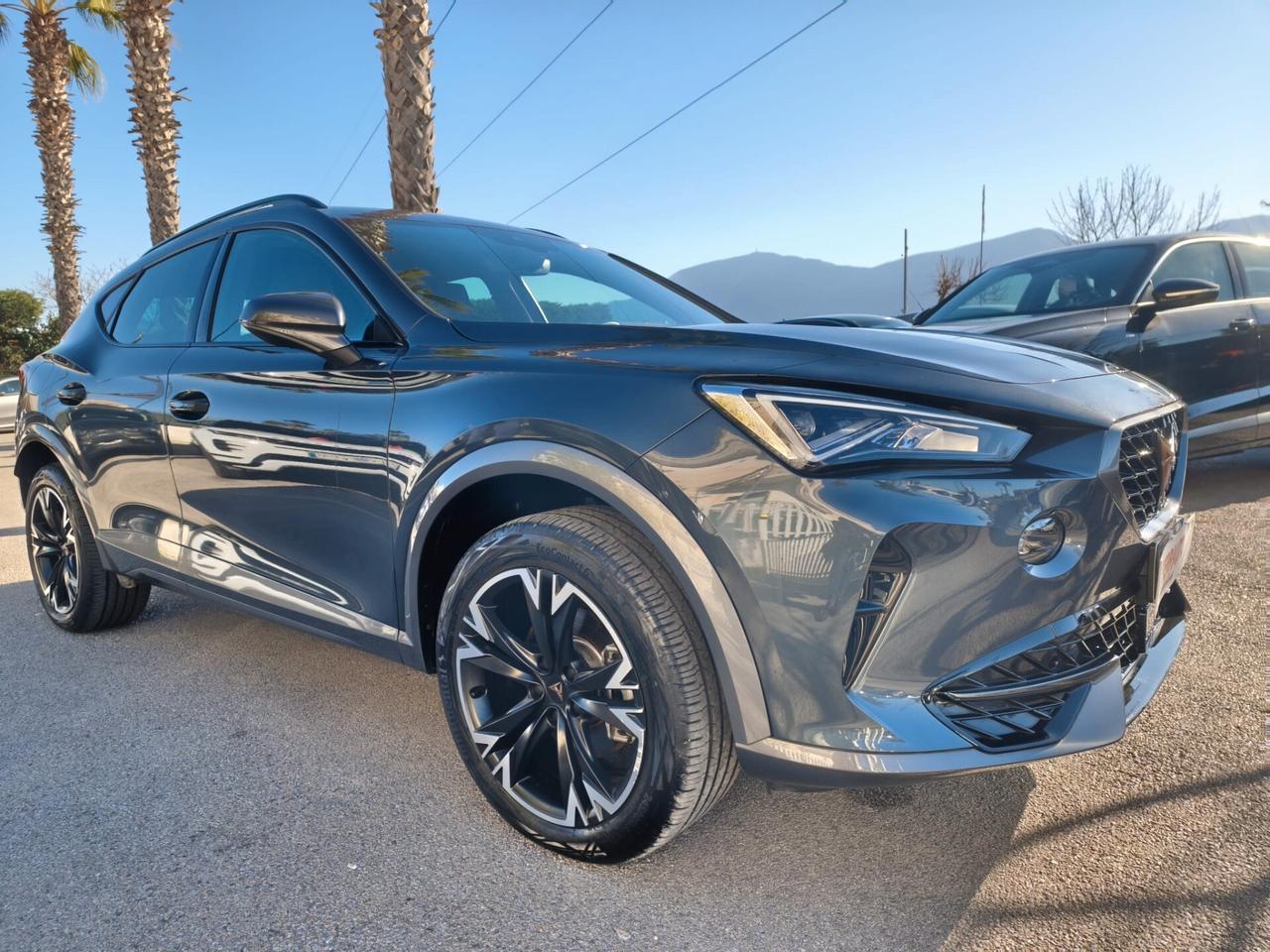 CUPRA FORMENTOR 2.0TDI 4DRIVE DSG FULL OPT