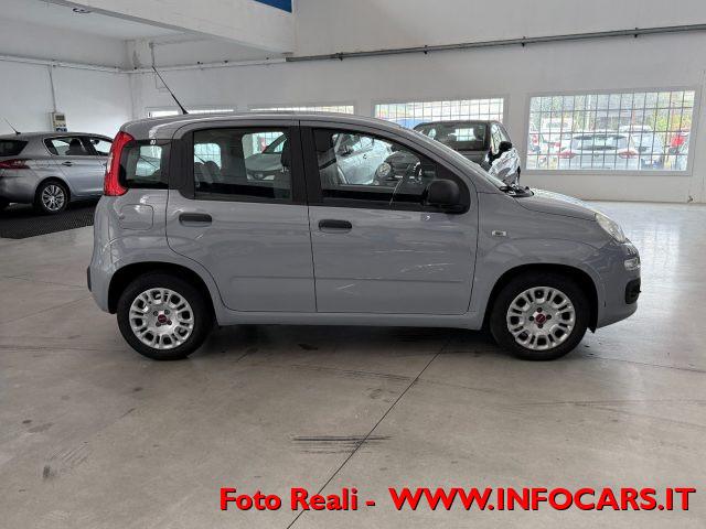 FIAT Panda Hybrid 1.0 FireFly 70 cv - PROMO