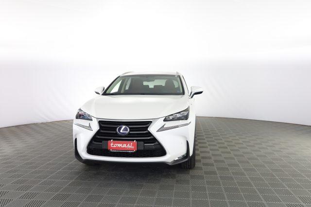 LEXUS Other NX NX Hybrid 4WD Luxury
