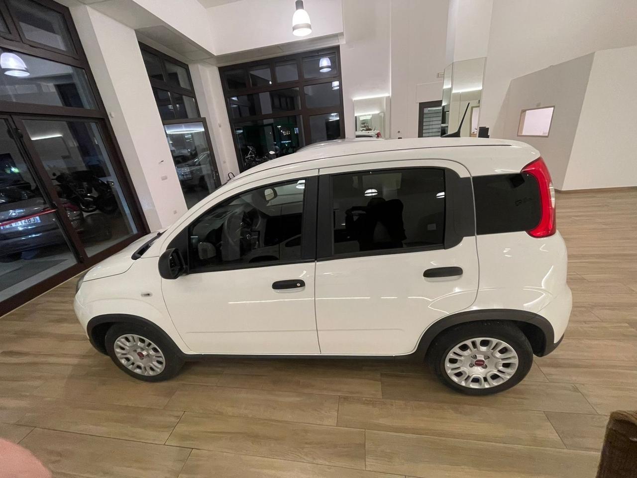 Fiat Panda 1.0 S&S Hybrid Van 2 posti AUTOCARRO