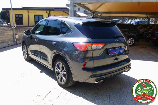 FORD Kuga 1.5 EcoBlue 120 CV 2WD ST-Line