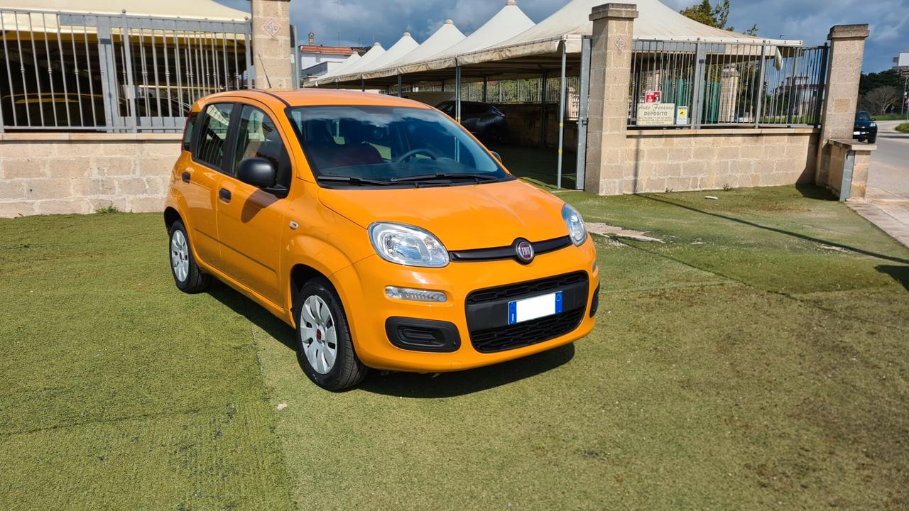Fiat Panda 1.2 benz. 70 cv 2020 NEOPATENTATI