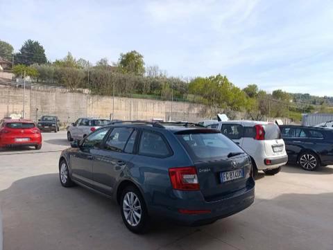Skoda Octavia Wagon 1.6 tdi Executive 110cv my16