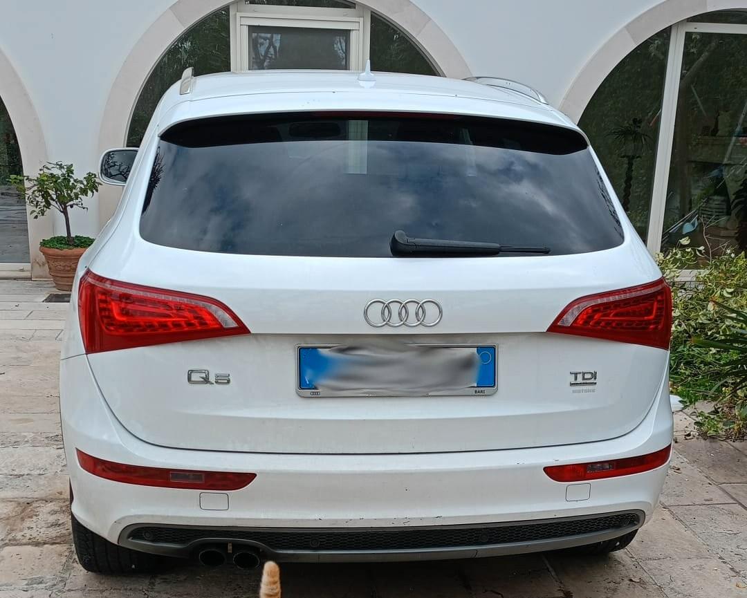 Audi Q5 2.0 TDI 170 CV quattro S tronic Advanced Plus CAMBIO ROTTO