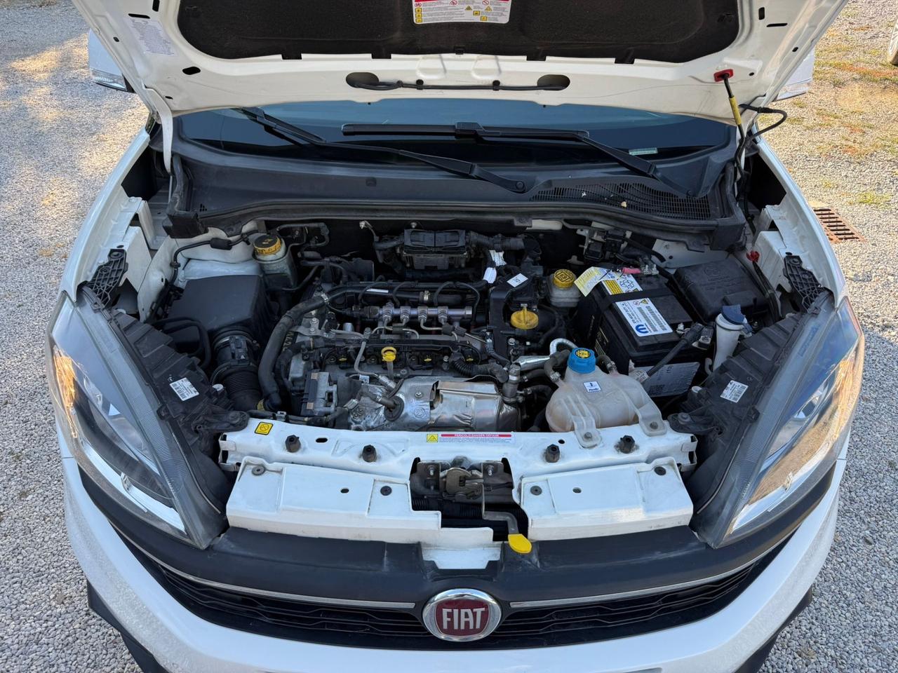 Fiat Doblo Doblò 1.6 MJT 120CV S&S PL-TN Cargo Maxi Lounge