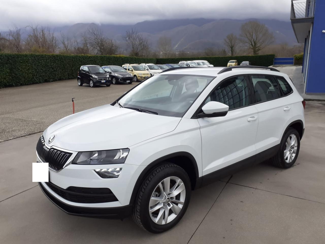 Skoda Karoq 2.0 TDI 150cv SCR 4x4 Ambition 2018