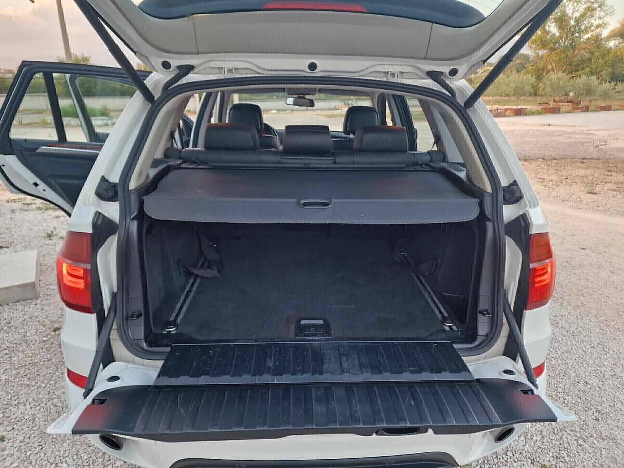 BMW X5 xDrive30d Futura - 2011