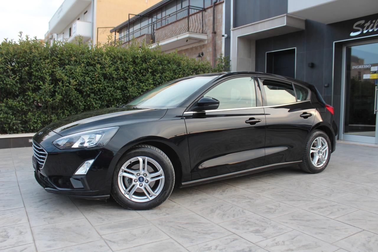 Ford Focus 1.5 EcoBlue 120 CV 5p. Business