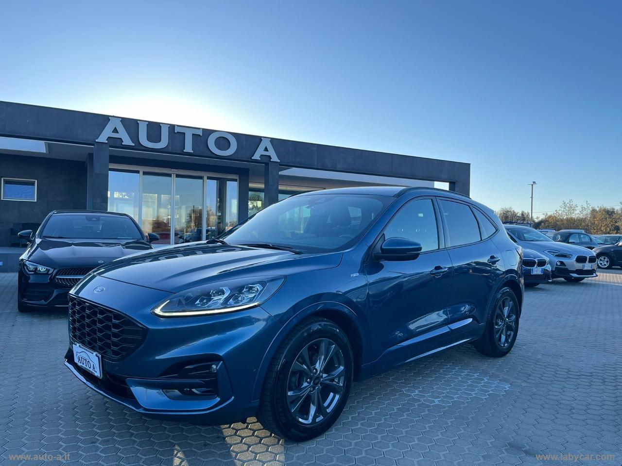 FORD Kuga 1.5 EcoBlue 120 CV aut. 2WD ST-Line