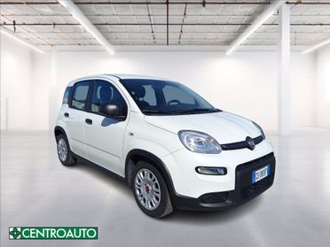 FIAT Panda 1.0 firefly hybrid s&s 70cv del 2024