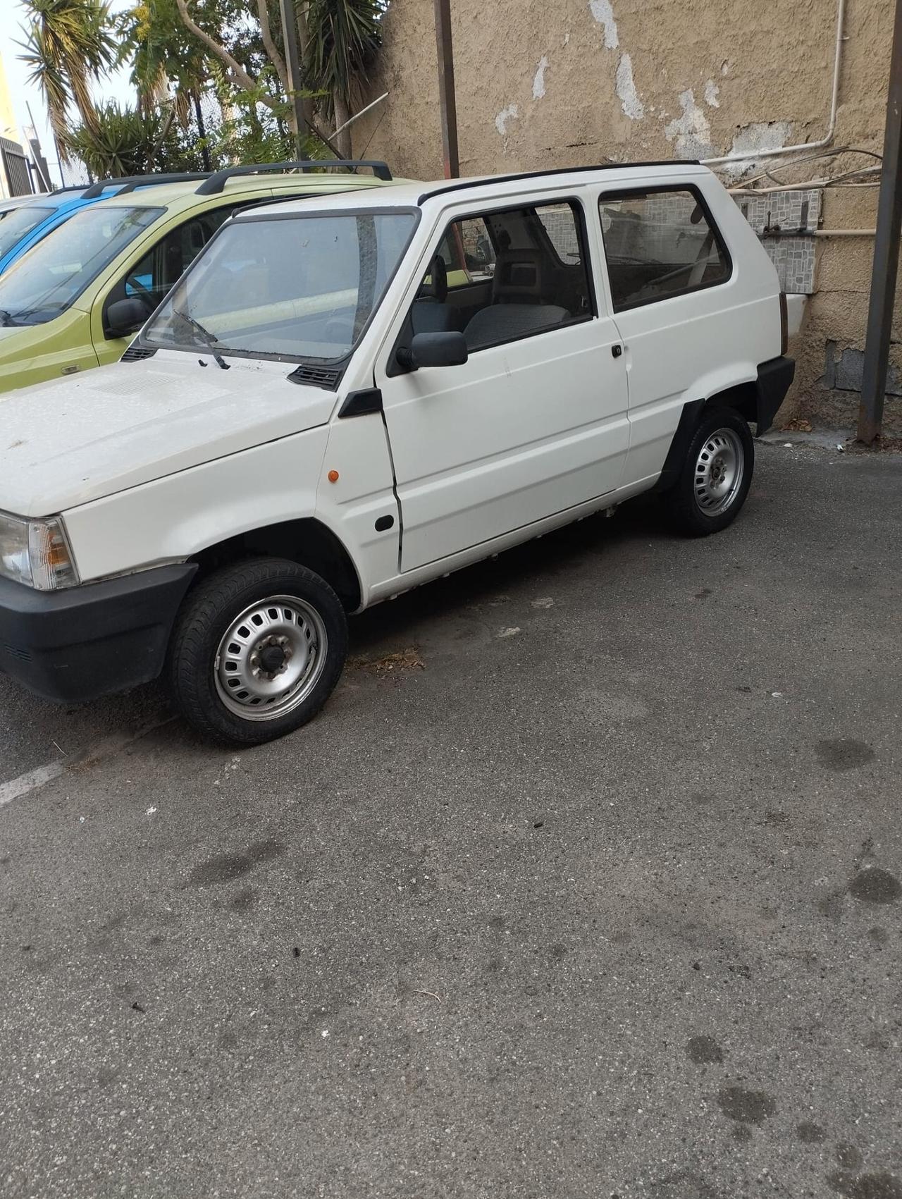 Fiat Panda 1100 i.e. cat Young