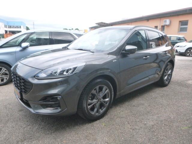 Ford Kuga 1.5 EcoBlue 120 CV 2WD ST-Line X NEOPATENTATI