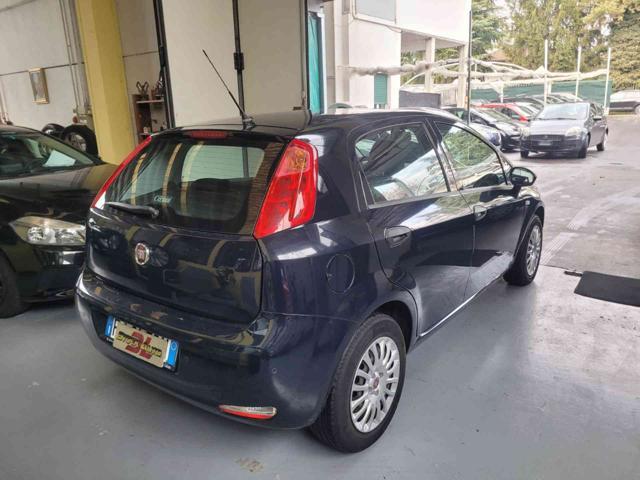 FIAT Punto 1.2 8V 5 porte Street NEOPATENTATI