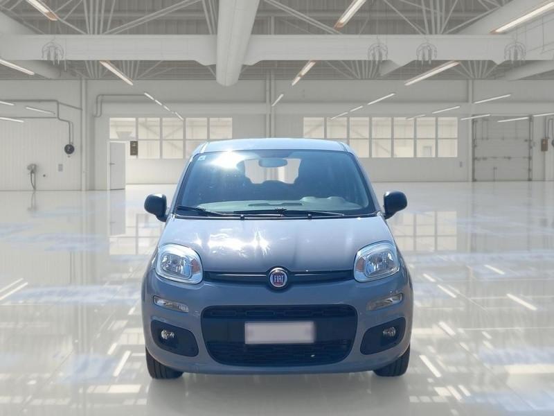 FIAT PANDA 1.2 69cv S/S E6d-Temp Easy 5 PORTE