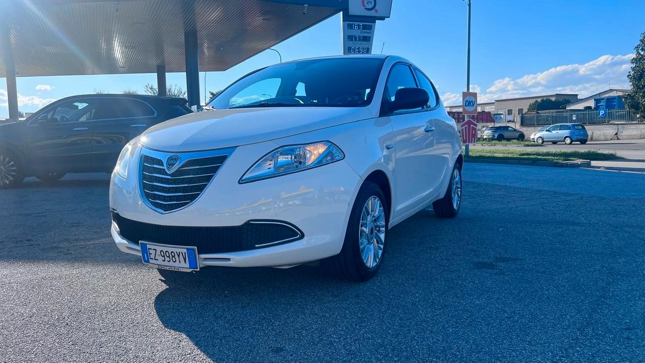 Lancia Ypsilon 1.2 69 CV 5 porte GPL Ecochic Elefantino