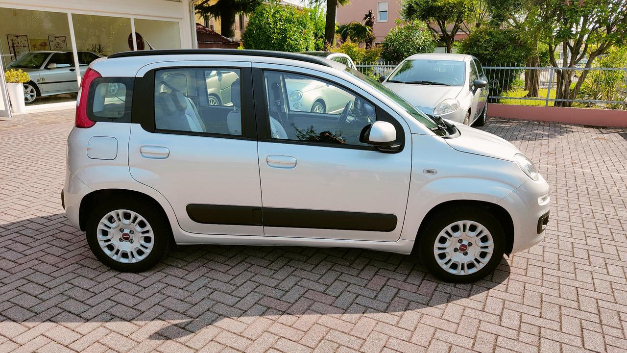 Fiat Panda 1.2 KM 49.000 CERTIFICATI OK NEO PATENTATI