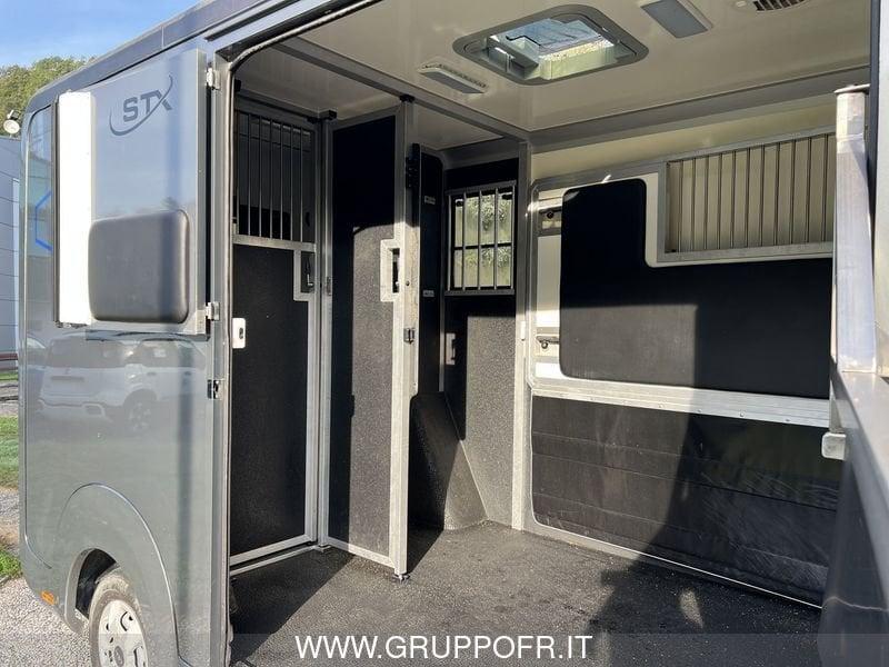 Opel Movano STX 35 FWD 2.3 turbo D 170cv MTA - TRASPORTO CAVALLI - NETTO IVA