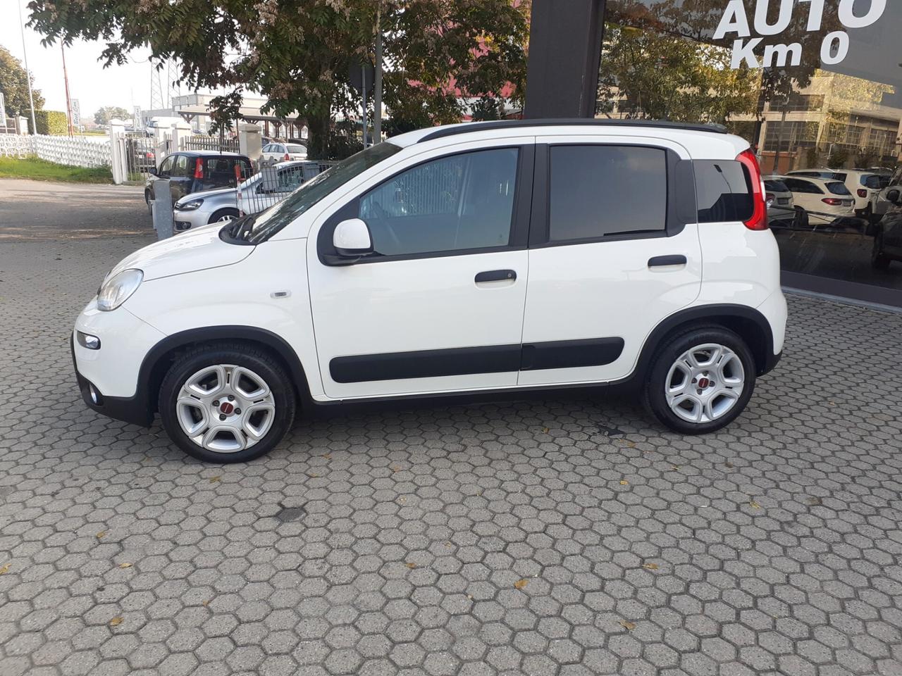 Fiat Panda 1.0 FireFly S&S Hybrid