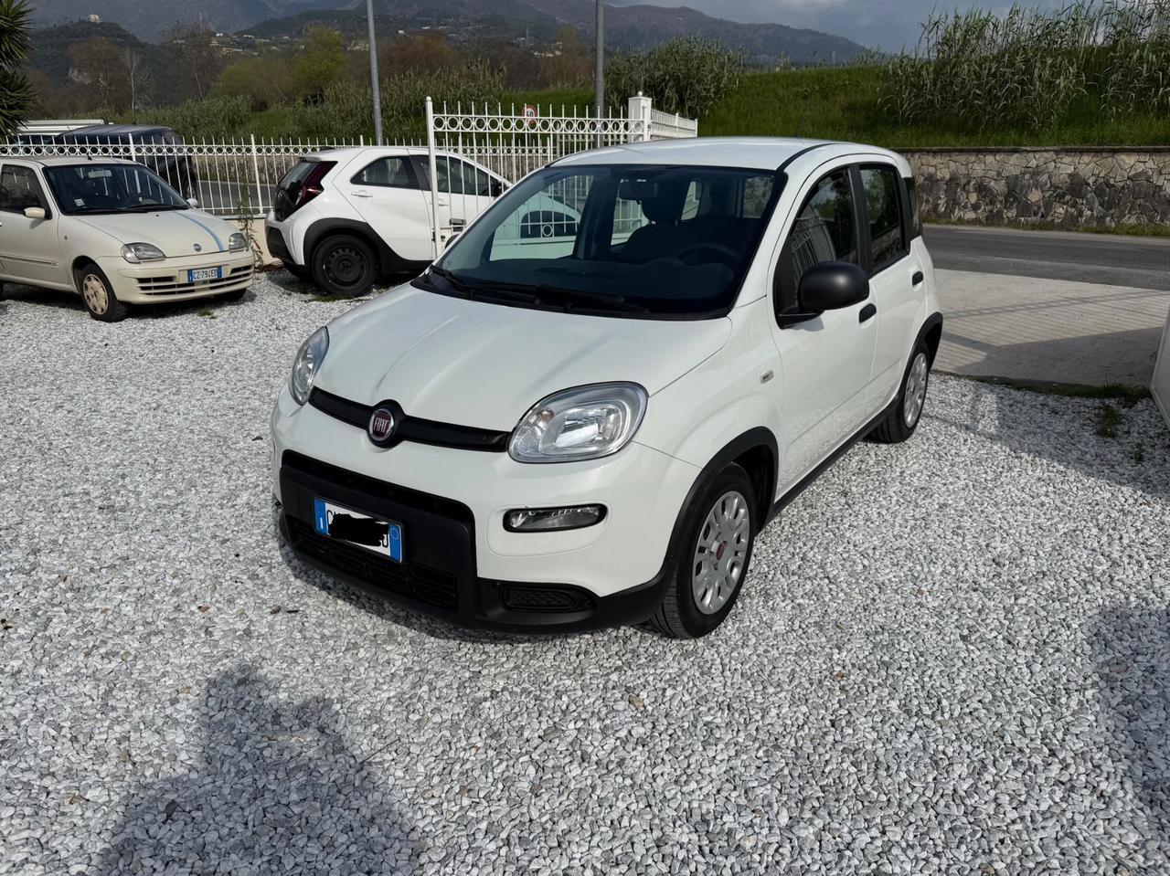 Fiat Panda 1.0 FireFly S&S Hybrid 23000km