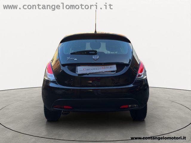 LANCIA Ypsilon 1.2 69 CV 5 porte Elefantino