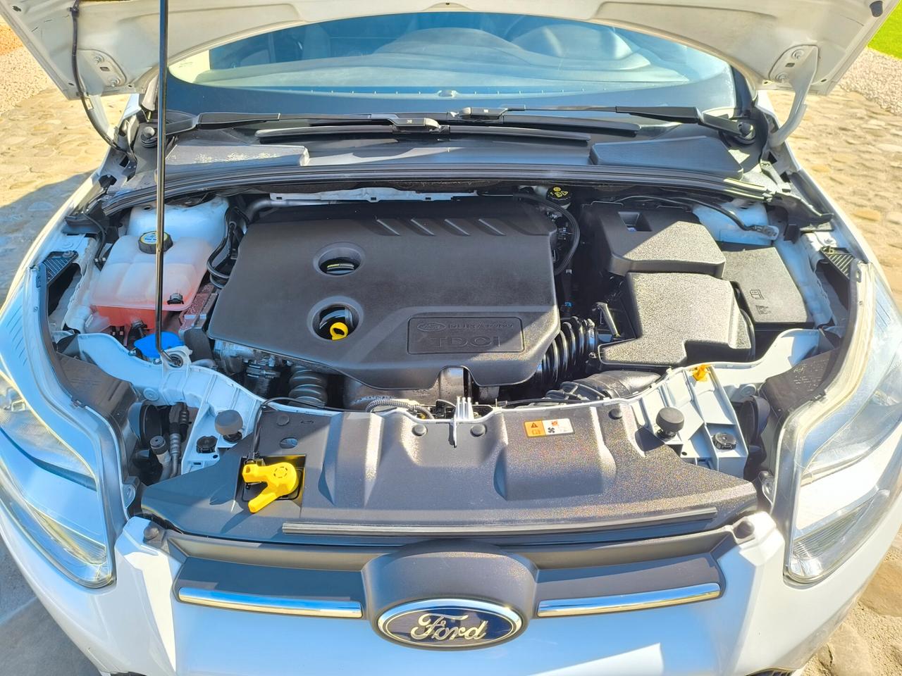 Ford Focus 1.6 TDCi 115 CV Titanium perfetta