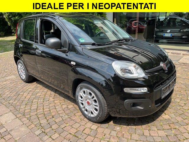 FIAT Panda 1.2 Benzina euro6 Neopatentati
