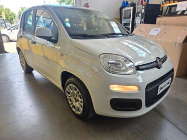 Fiat Panda 1.2 benzina EURO 6 UNICOPROPRIETARIO