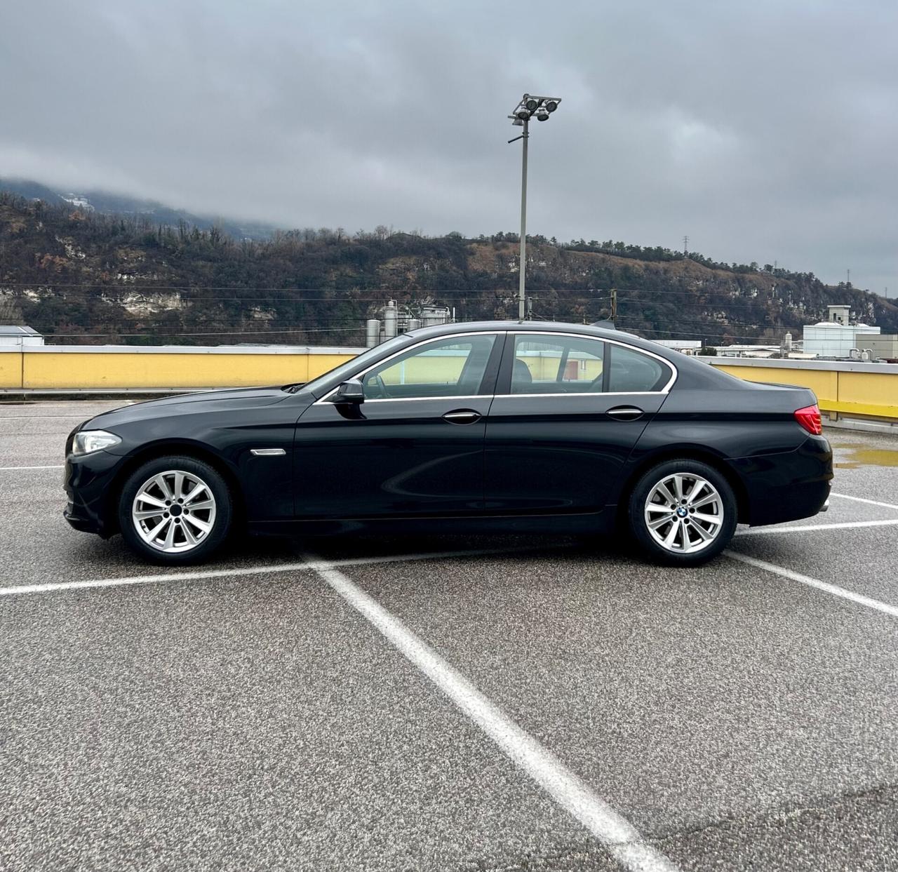 Bmw 520d Luxury 2014 Euro 6B IVA DEDUCIBILE