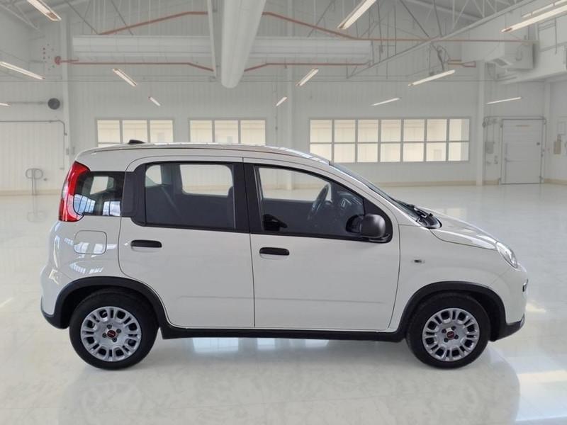 FIAT PANDA 1.0 FIREFLY 70 CV SES HYBRID 5 PORTE BERLINA