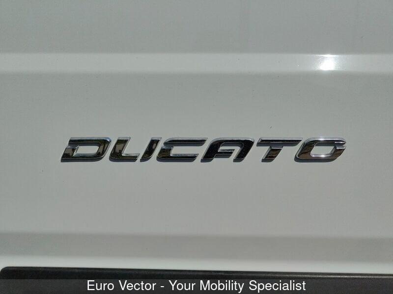 FIAT Ducato 33 2.0 MJT PM-TM Furgone