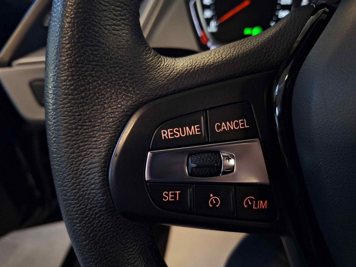 BMW 116d 5p. Business Advantage - APPLE - TAGLIANDI BMW - GAR.24 MESI