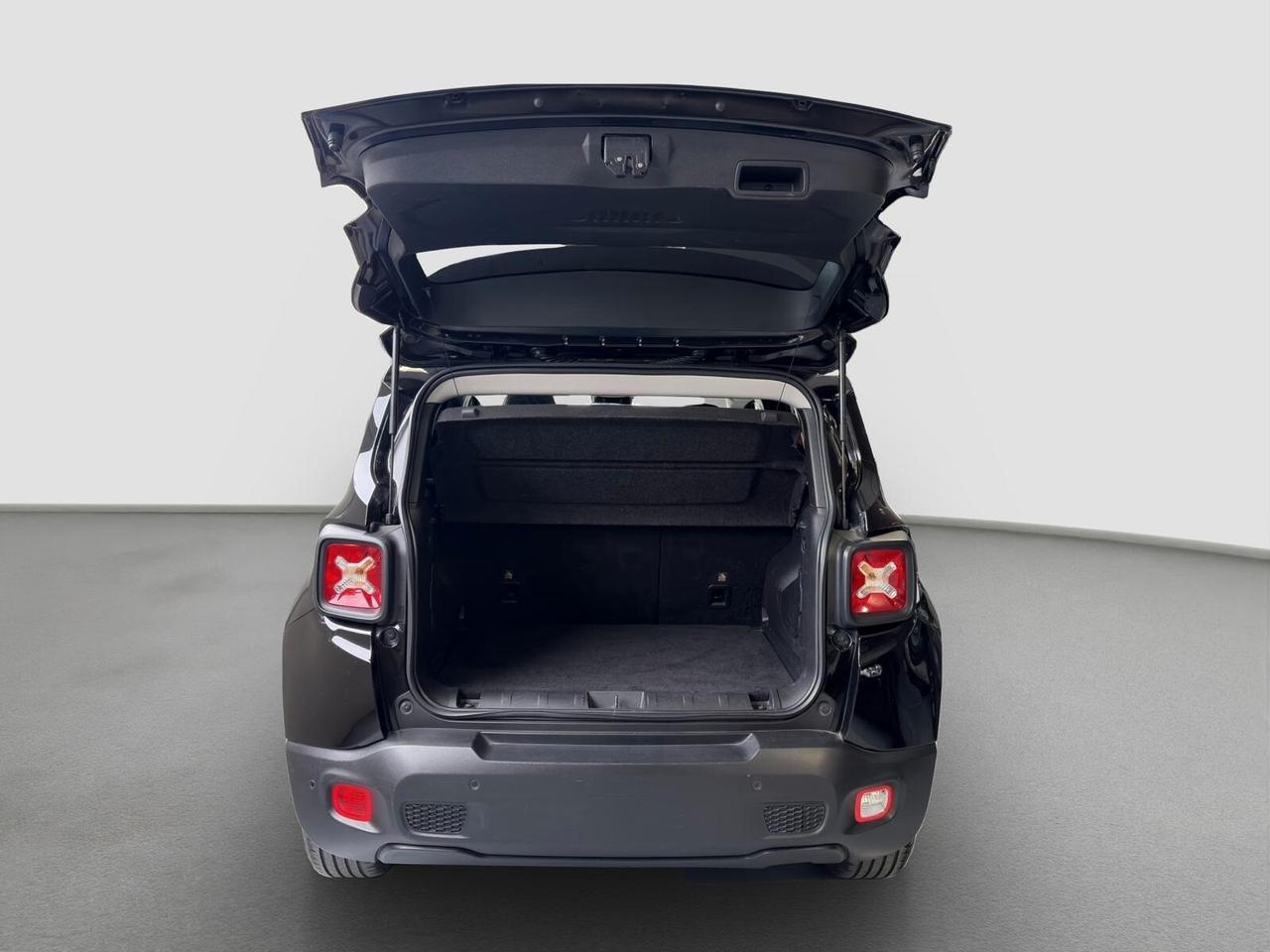 Jeep Renegade 1.0 T3 Business