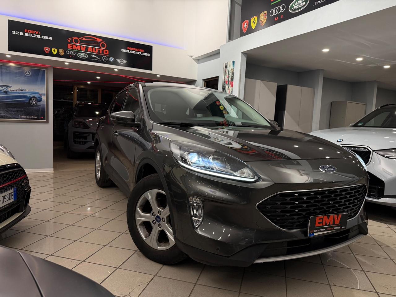 Ford Kuga 1.5 EcoBlue 120 CV 2WD ST-Line (88 kw)