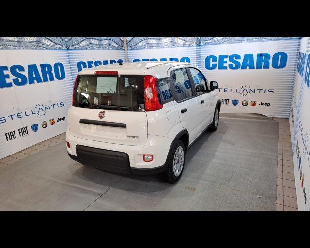 FIAT New Panda 1.0 firefly hybrid 70cv