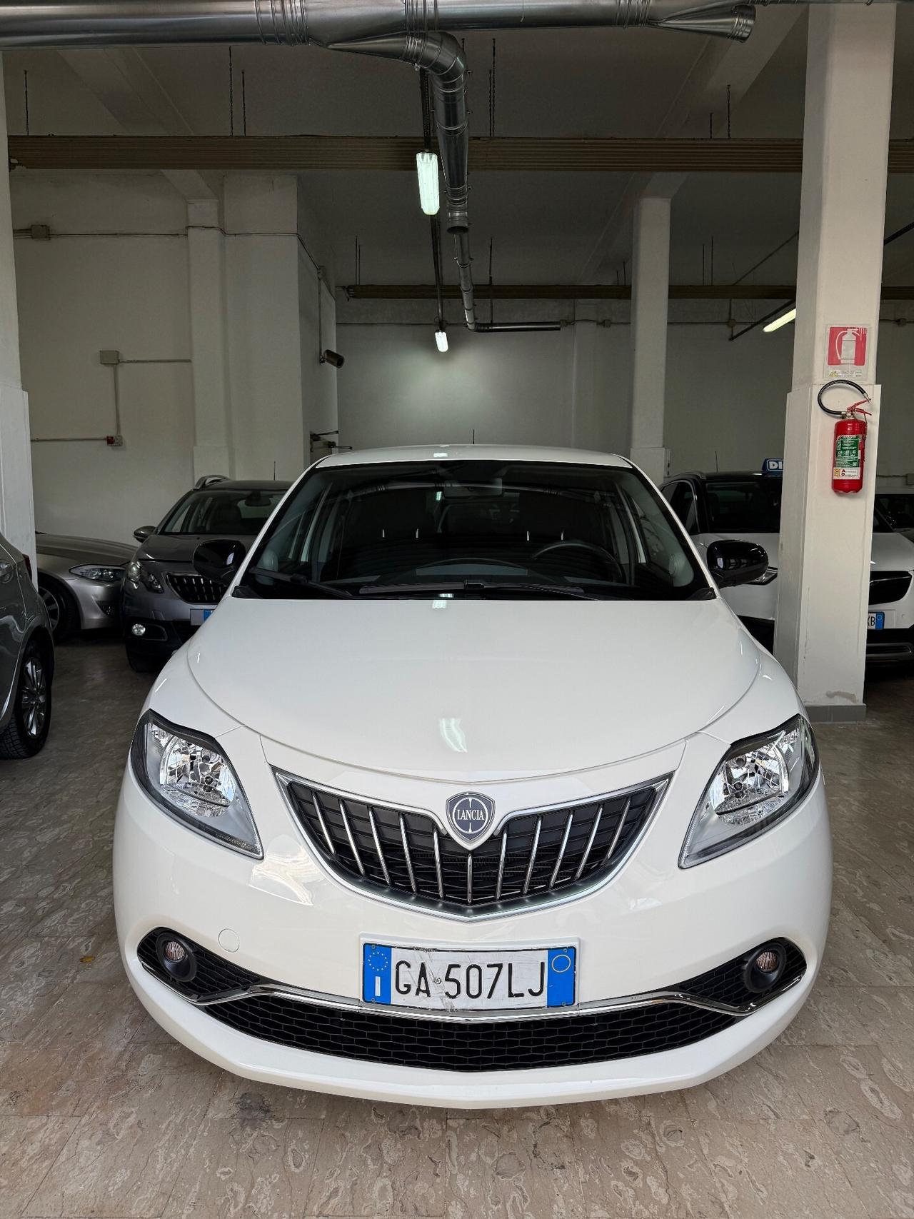 Lancia Ypsilon 1.2 69 CV 5 porte S&S Platinum