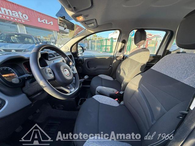 FIAT Panda 3° serie 1.0 FireFly S&S Hybrid City Life