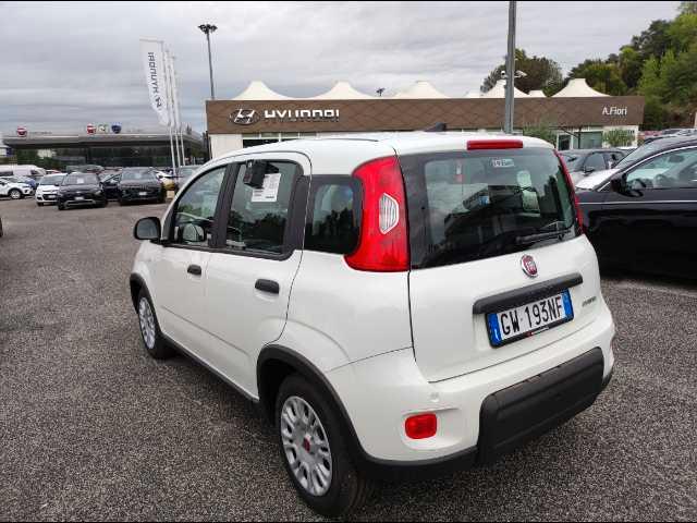 FIAT Panda 1.0 firefly hybrid s&s 70cv