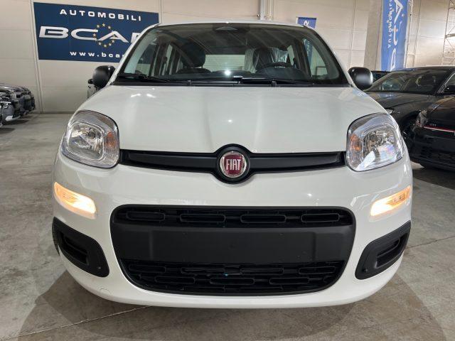 FIAT Panda 1.0 FireFly Hybrid Icon Pandina /PACK CITY+PARK
