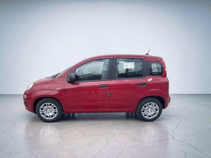 FIAT Panda SOLO A MARZO ANCHE SENZA ROTTAMAZIONE!!!!!