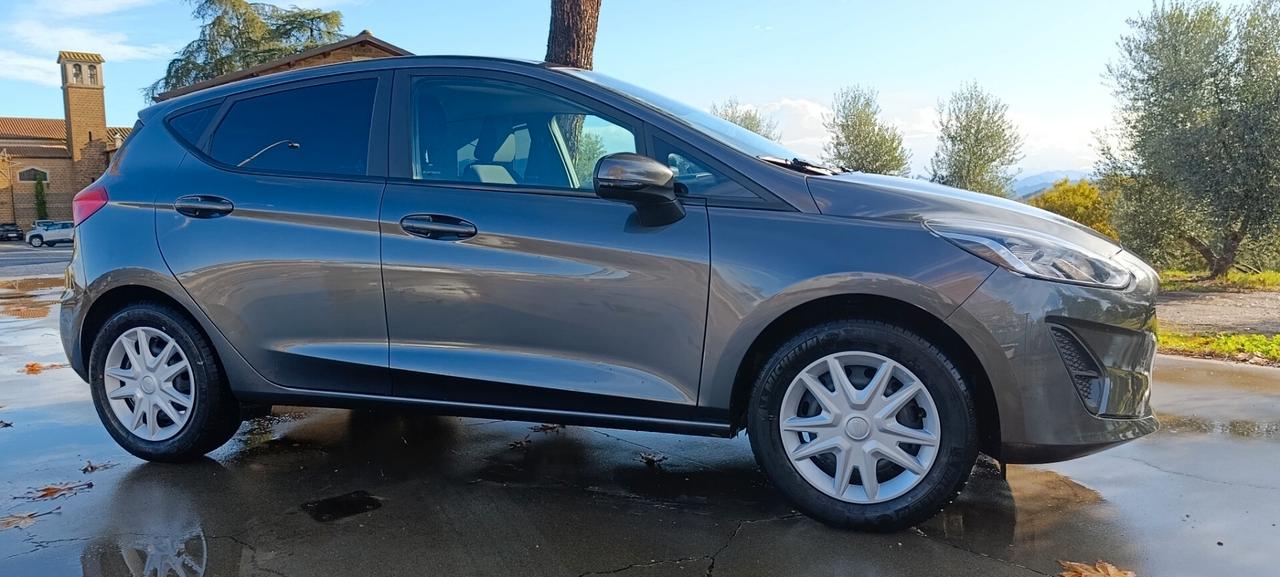 Ford Fiesta Ecoboost 95 CV 5 porte Connect