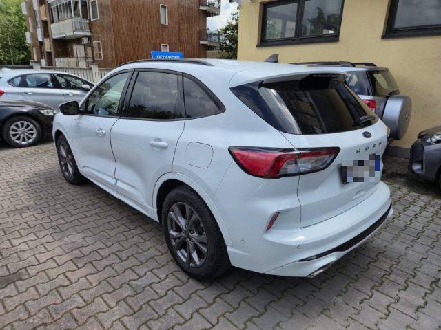 FORD Kuga 1.5 EcoBlue 120 CV aut. 2WD ST-Line X