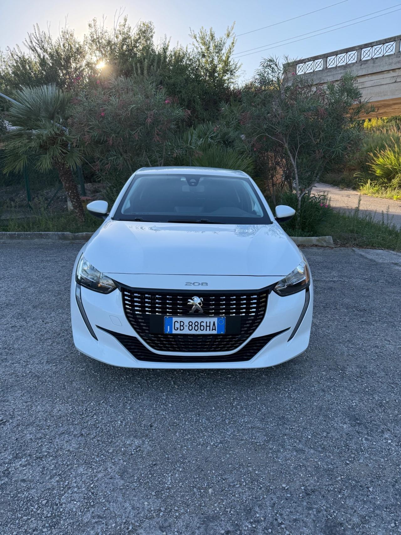 Peugeot 208 BlueHDI 100cv 5 porte S&S