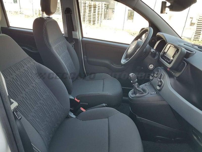 FIAT Panda Panda 1.0 firefly hybrid s&s 70cv 5p.ti