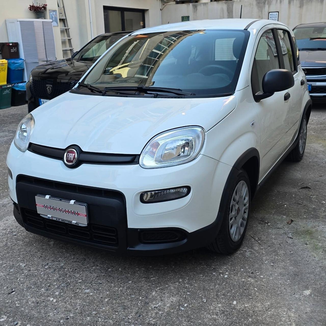 Fiat Panda 1.0 FireFly 70cv Hybrid City Life - 31.000 km