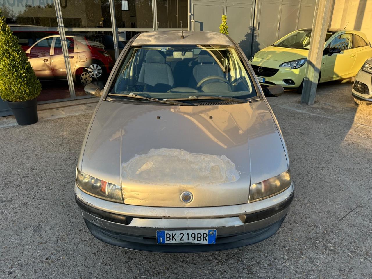 Fiat Punto 1.2i cat 5p NEOPATENTATO OK!