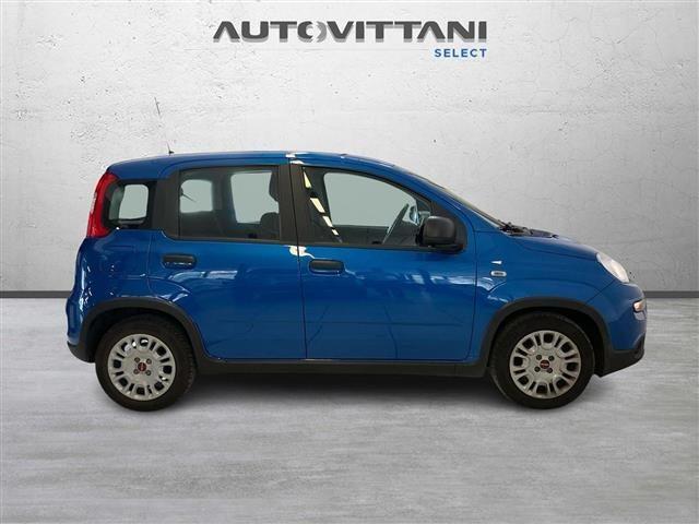 FIAT Panda 1.0 FireFly Hybrid 70cv S&S No Vincoli!