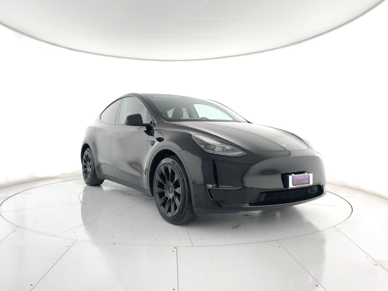 TESLA Model Y Long Range Dual Motor awd + AUTOPYLOT MAX