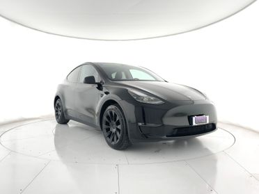 TESLA Model Y Long Range Dual Motor awd + AUTOPILOT MAX