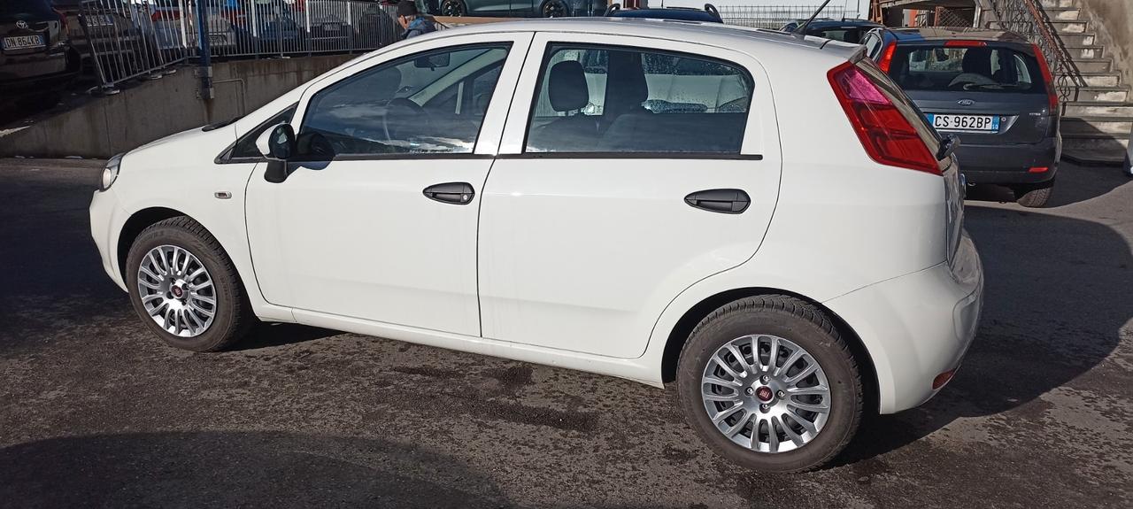 Fiat Punto 1.2 8V 5 porte Street