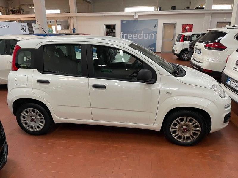 FIAT Panda 1.2 Easy - PROMOZIONE DEL MESE !!!